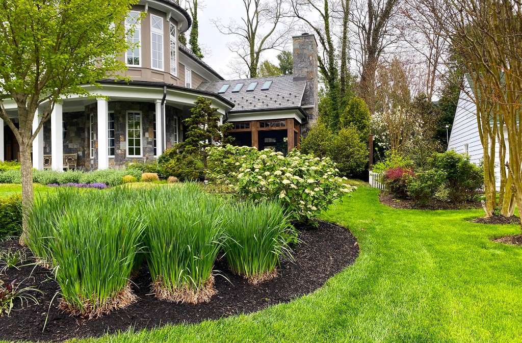 Lawn and landscaping